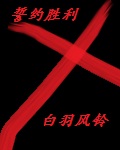 将军的甜鑫宝贝